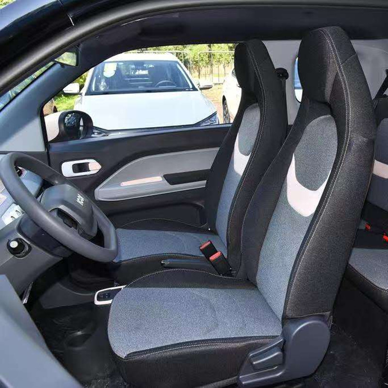 What is the Market Prospect of Micro Electric Vehicles?